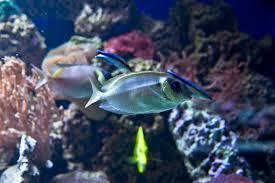 Meeresaquarium am Fichtelberg